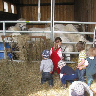 Besuch auf dem Bauernhof