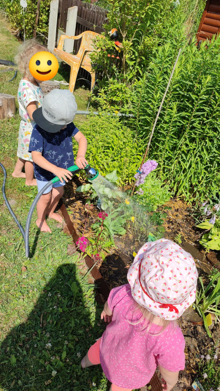 die kleinen Gärtner die kleinen Gärtner